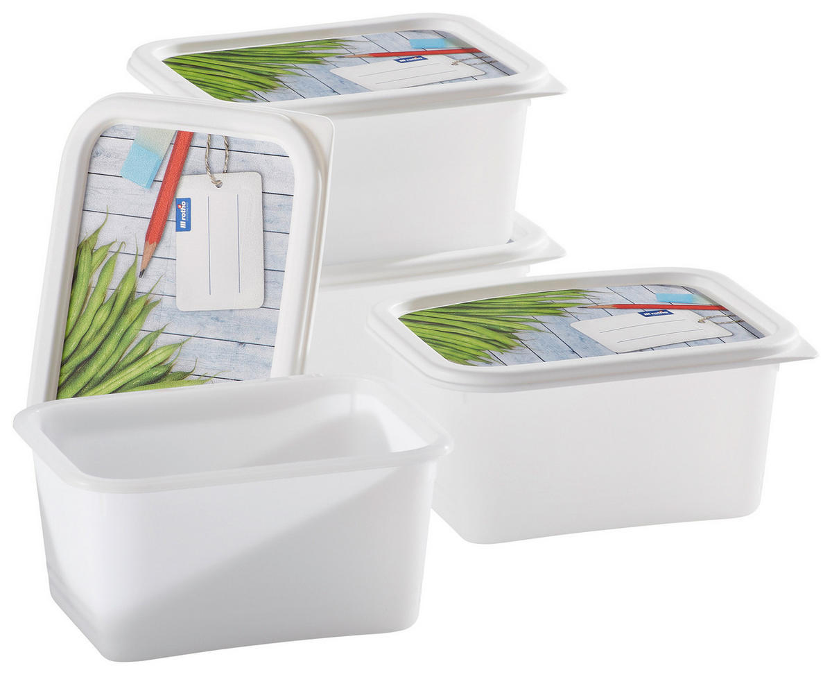 Gefrierdose 4-TLG 4-teilig  - Weiss, Basics, Kunststoff (15,7/11,8/13,2cm) - Rotho