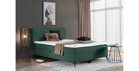 BOXBETT 160/200 cm in Waldgrün - Waldgrün/Schwarz, Design, Holz/Holzwerkstoff (160/200cm) - Xora