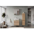 SPIEGELSCHRANK 60/64/20 cm  - Eichefarben/Silberfarben, KONVENTIONELL, Glas/Holzwerkstoff (60/64/20cm) - Xora