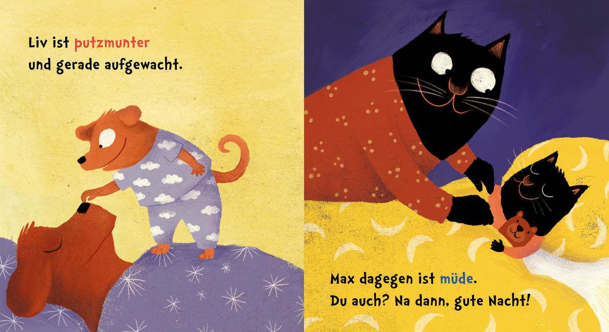 BUCH - Multicolor, Basics, Papier (14/14/0,5cm) - Carlsen