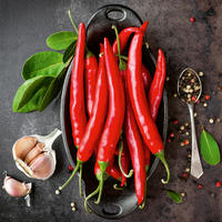 GLASBILD Gewürze 20/20 cm  - Multicolor, Basics, Glas (20/20cm) - Euroart