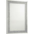 SPIEGEL - Silberfarben, Design, Glas/Holzwerkstoff (80/120/4cm) - XORA