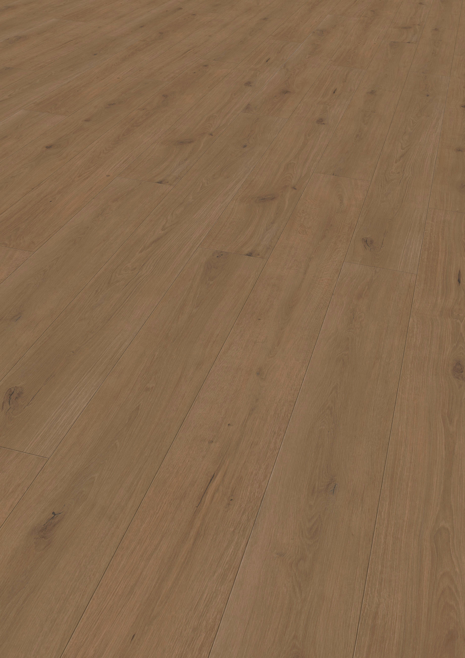 VINYLBODEN Elito Trend Eiche Cafe!Pur 100005401  per  m² - KONVENTIONELL, Holz (220/21,6/1cm) - Tilo