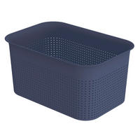 BOX, plast - tmavomodrá, Basics, plast (26,2/18/13cm) - Rotho