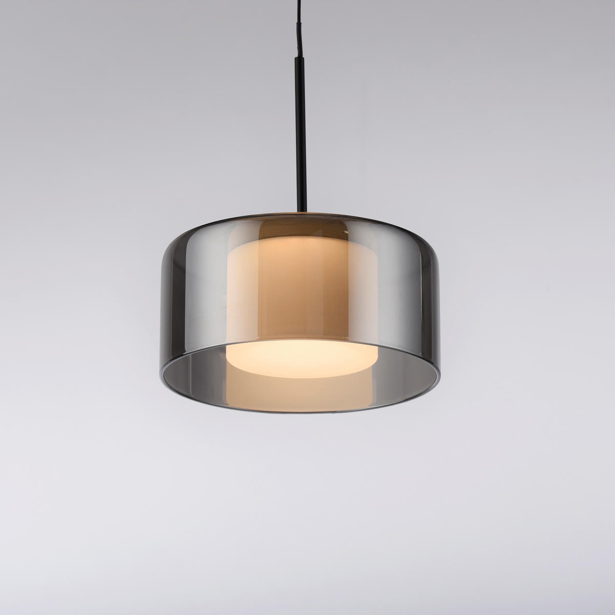 ZÁVĚSNÉ LED SVÍTIDLO, 15/220 cm  - černá, Design, kov/plast (15/220cm)