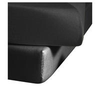 CEARȘAF CU ELASTIC 100/200 cm  - Basics, textil (100/200cm)