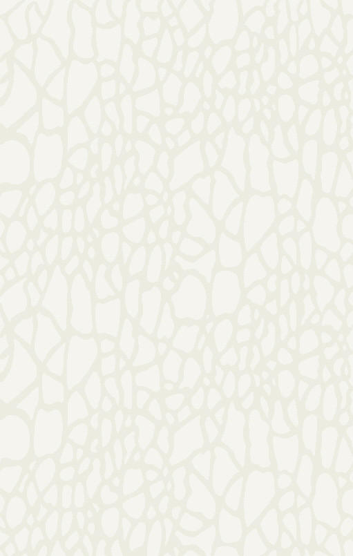 TKANI TEPIH  krem     - krem, Dizajnerski, tekstil (80/150cm) - Novel
