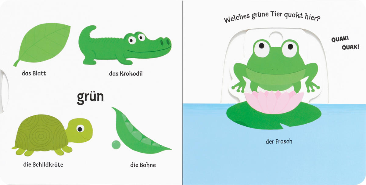 BILDERBUCH Mein erstes Buch von den Farben  - Basics (17/17/1,8cm)