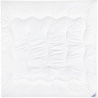 CELOROČNÁ PRIKRÝVKA, 200/200 cm, polyester - biela, Basics, textil (200/200cm) - Sleeptex