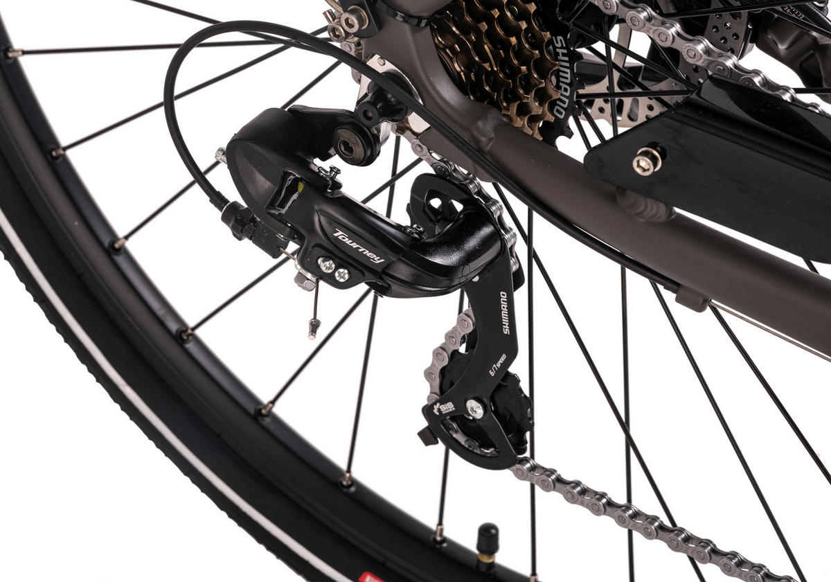 ELEKTROFAHRRAD 28 Zoll  - Grau, Basics, Metall (180/70/100cm)