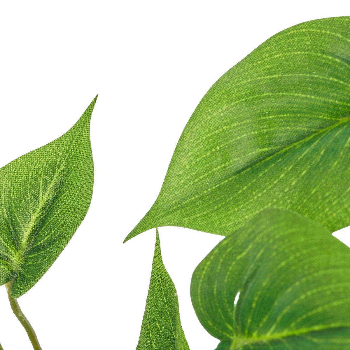 KUNSTPFLANZE Philodendron 50 cm  - Weiß/Grün, Basics, Kunststoff (50cm)