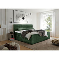 BOXSPRINGBETT 180/200 cm  in Olivgrün  - Schwarz/Olivgrün, MODERN, Holzwerkstoff/Kunststoff (180/200cm) - MID.YOU