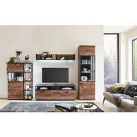 WOHNWAND  in Grau, Eichefarben  319,5/206,2/50 cm  - Eichefarben/Schwarz, KONVENTIONELL, Glas/Holzwerkstoff (319,5/206,2/50cm) - Cantus