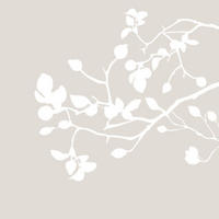 SERVIETTE  25/25 cm   - Natur (25/25cm) - PPD