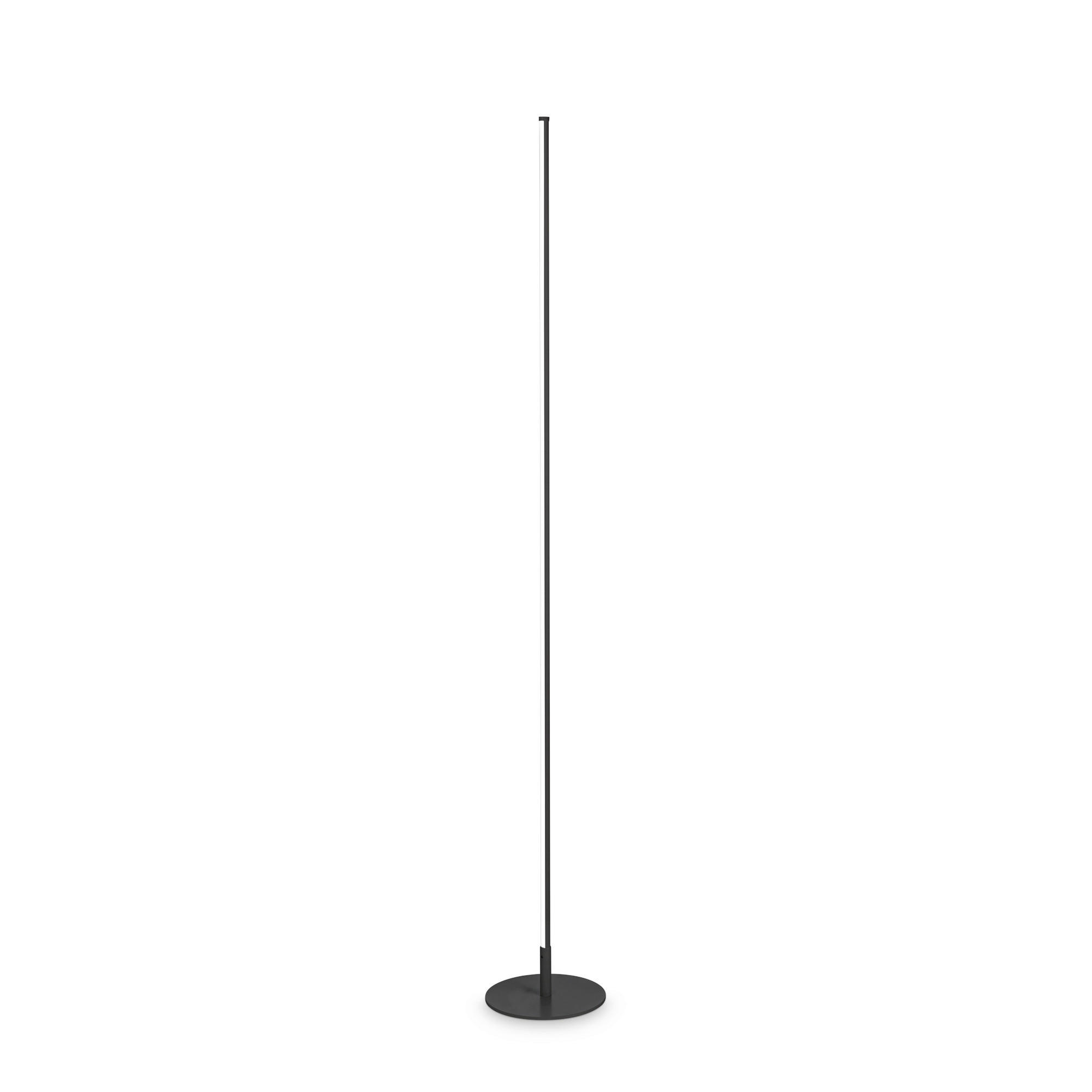 STEHLEUCHTE 20/146,5 cm    - Schwarz, Design, Kunststoff/Metall (20/146,5cm)