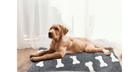 DECKE 50/70 cm  - Basics (50/70cm) - Esposa