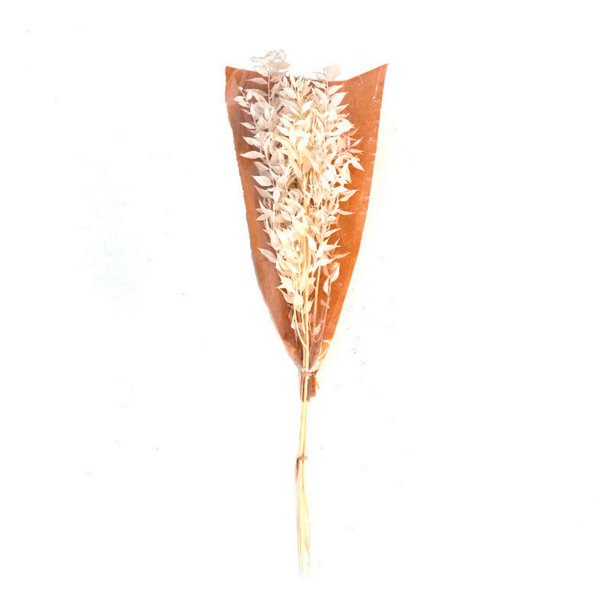 TROCKENBLUME - Naturfarben, Basics (70cm)