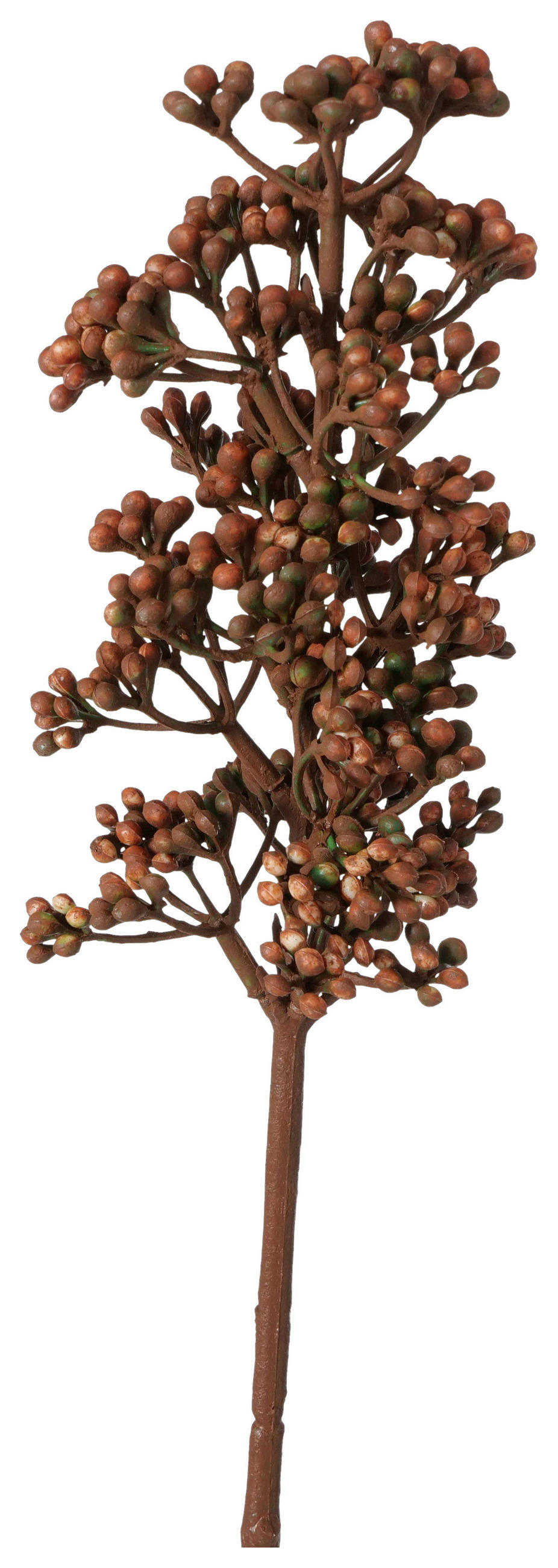 DEKOZWEIG - Hellbraun/Braun, LIFESTYLE, Kunststoff (7/54/8cm)