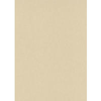 TAPETA   - Basics (53*1000cm)