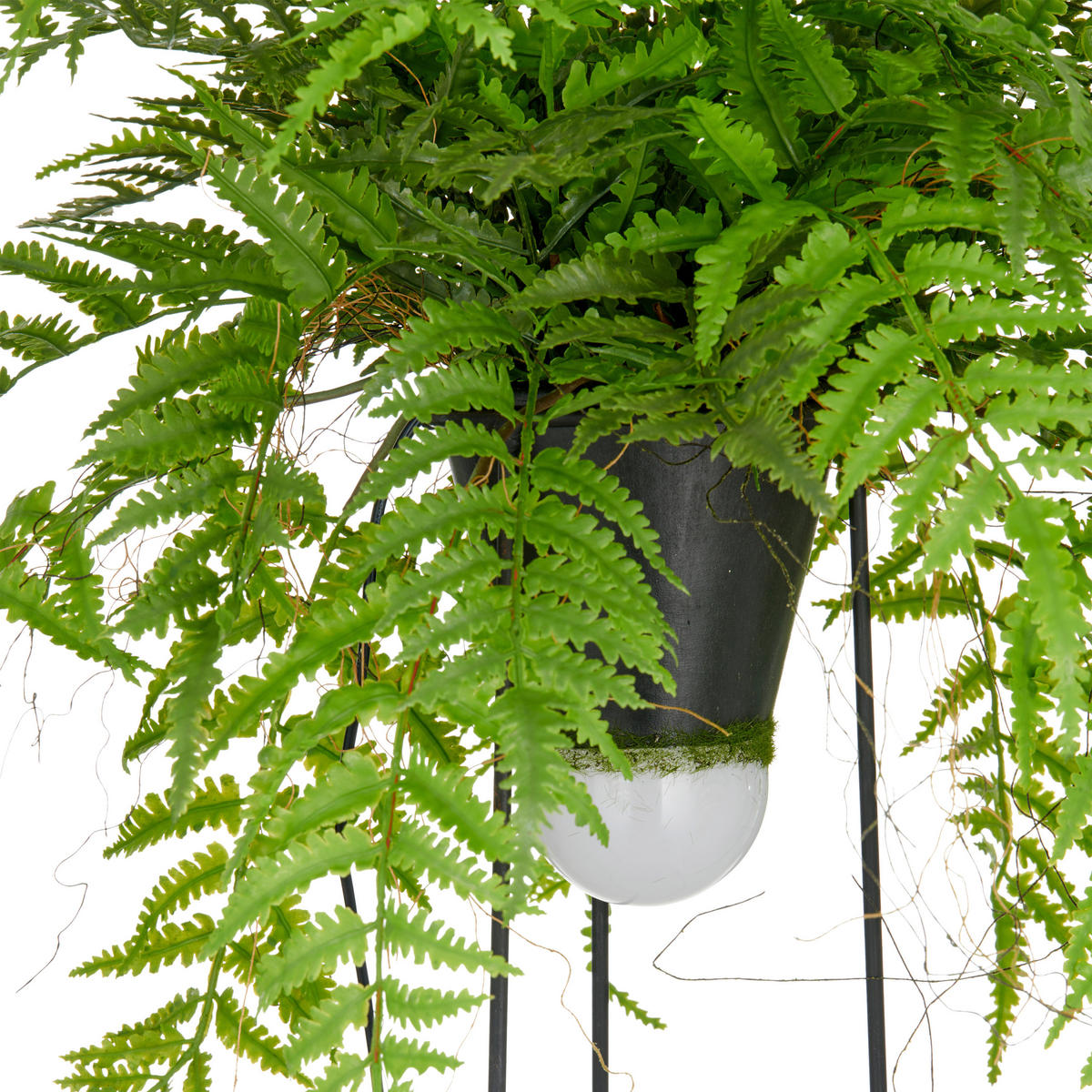 KUNSTPFLANZE Farn 60 cm  - Schwarz/Grün, Basics, Kunststoff/Metall (60cm) - P & B