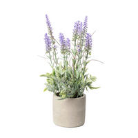 LAVENDEL  - Lila/Grün, Basics, Kunststoff (30cm)