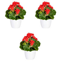 KUNSTPFLANZE Geranie 24 cm  - Rot/Weiß, Design, Keramik/Kunststoff (24cm) - P & B