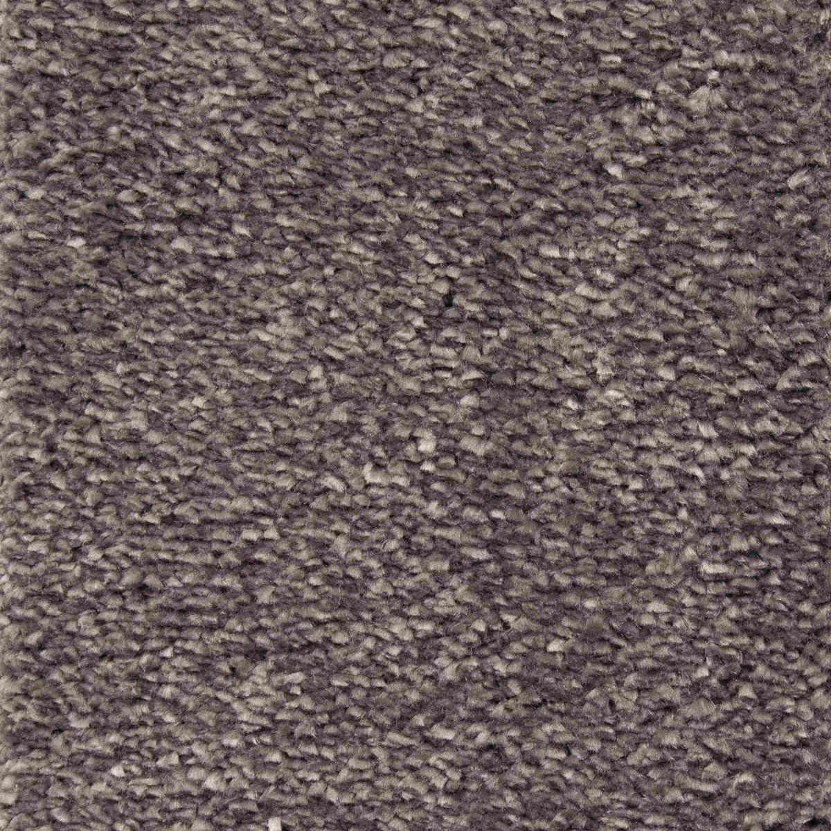 TEPPICHBODEN per  m² - Lavagrau, Basics, Kunststoff/Textil (400cm) - Esposa