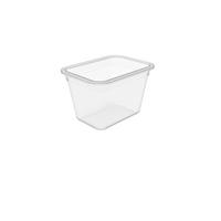 VORRATSDOSE 0,85 l  - Transparent, Basics, Kunststoff (14,7/10,9/9,4cm) - Rotho