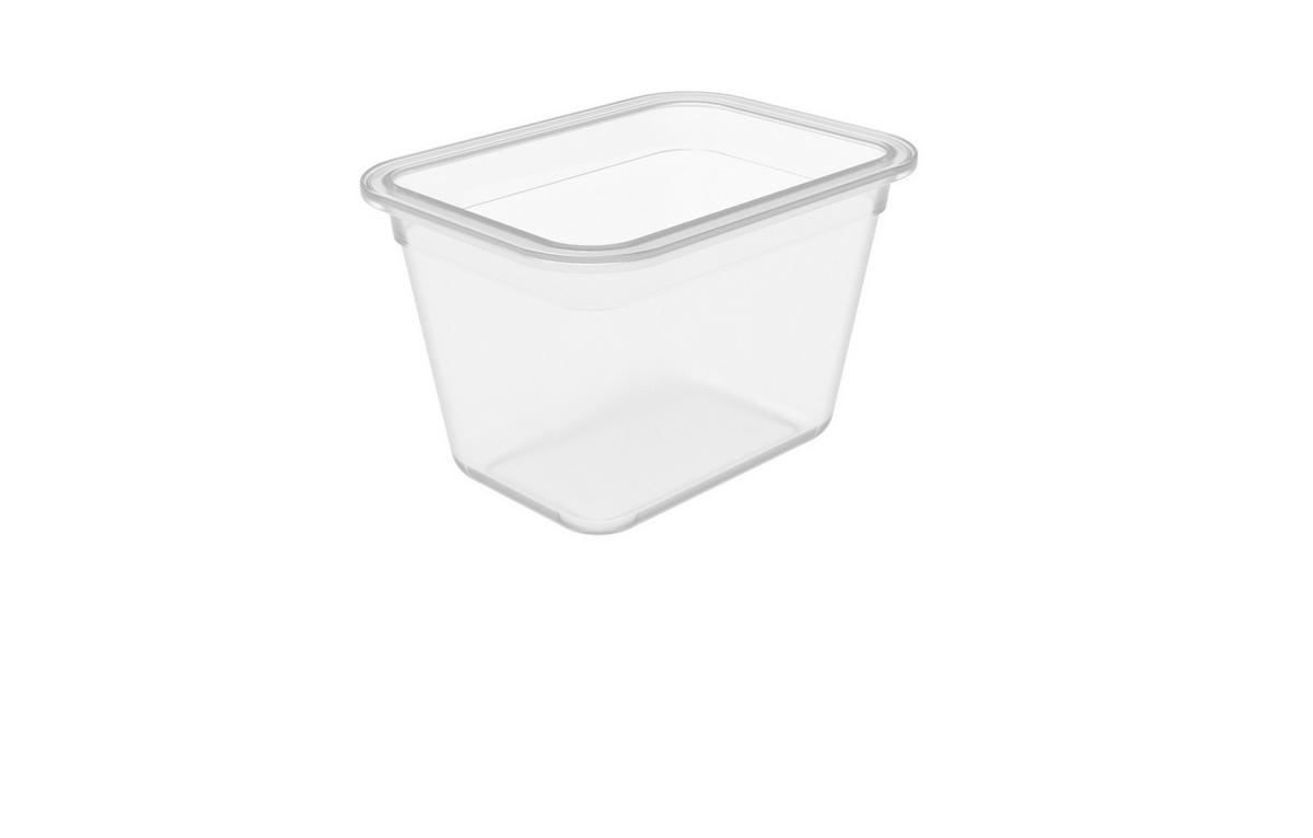 VORRATSDOSE 0,85 l  - Transparent, Basics, Kunststoff (14,7/10,9/9,4cm) - Rotho