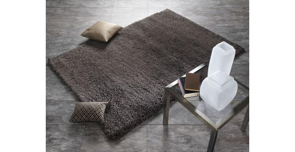 HOCHFLORTEPPICH 80/150 cm Color Meeting Braun, Grau  - Braun/Grau, Basics, Textil (80/150cm) - Novel
