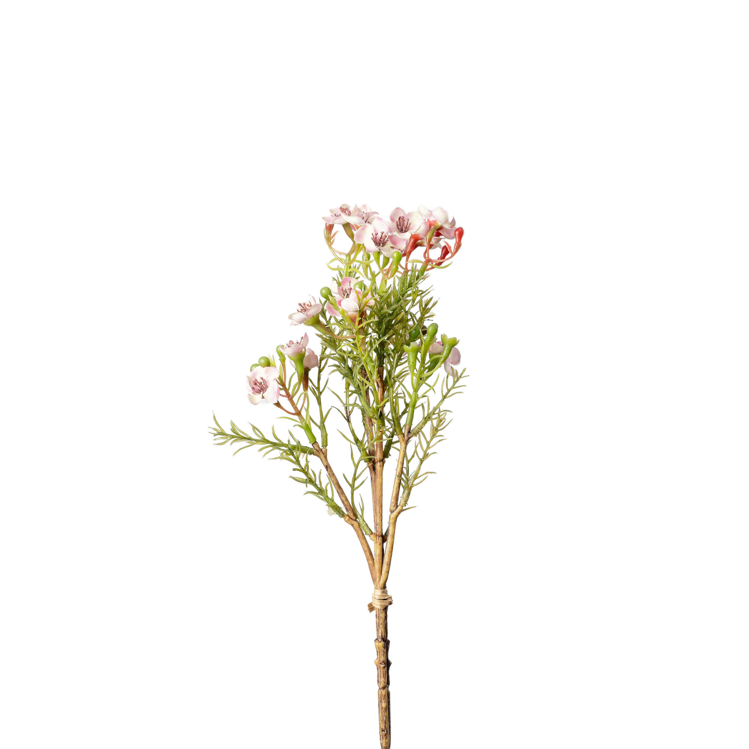 DEKOR GALLY - rózsaszín/zöld, Basics, műanyag (25cm)