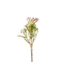 DEKOR GALLY - rózsaszín/zöld, Basics, műanyag (25cm)