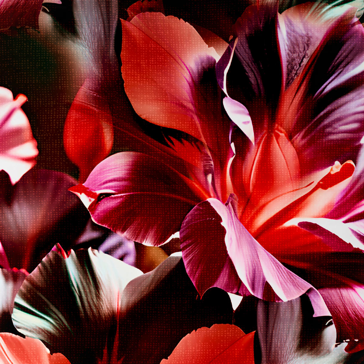 WENDEBETTWÄSCHE Satin 135/200 cm  - Lila, Textil (135/200cm) - Novel