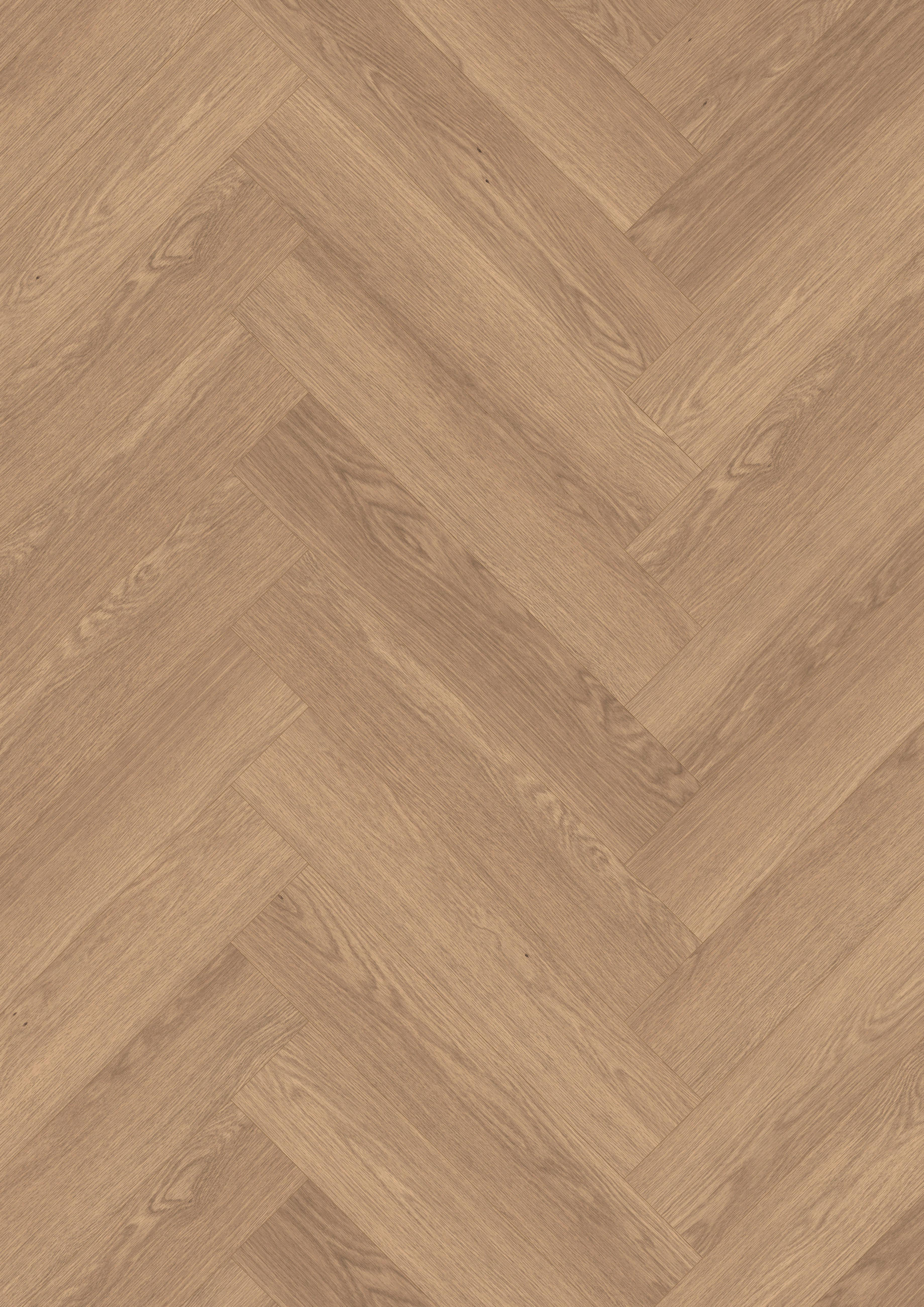 LAMINATBODEN BARONIA EICHE - Eichefarben/Braun, KONVENTIONELL, Holzwerkstoff (84/16.8/0.8cm) - Egger Holzwerkstoffe