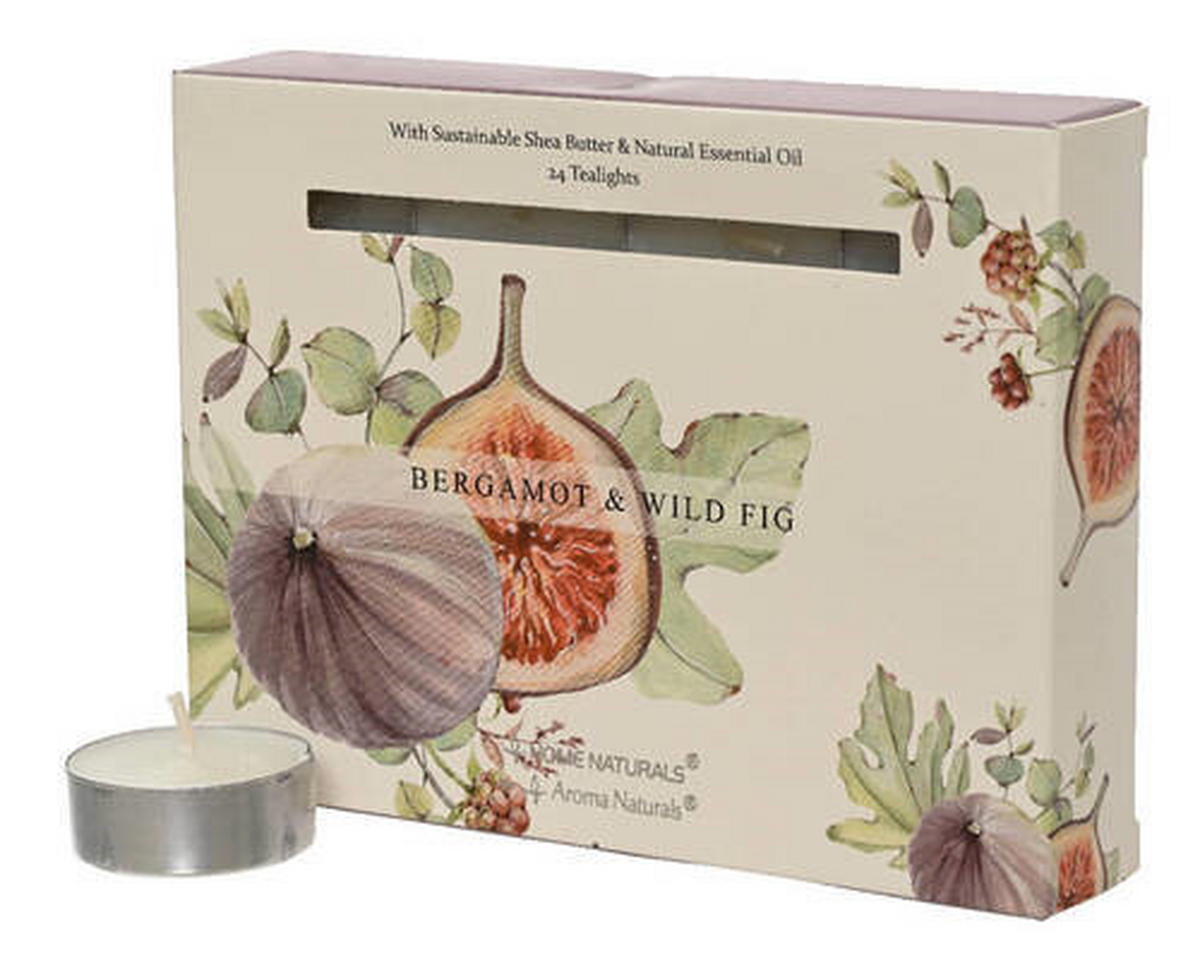 SADA ČAJOVÝCH SVIEČOK 12 kus figa, bergamot  - Lifestyle, kov/prírodné materiály (10,50/10,50/11,00cm)