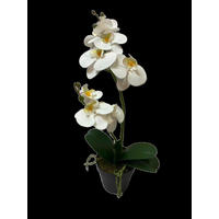 KUNSTBLUME  - Creme/Weiß, Basics, Kunststoff (55cm)