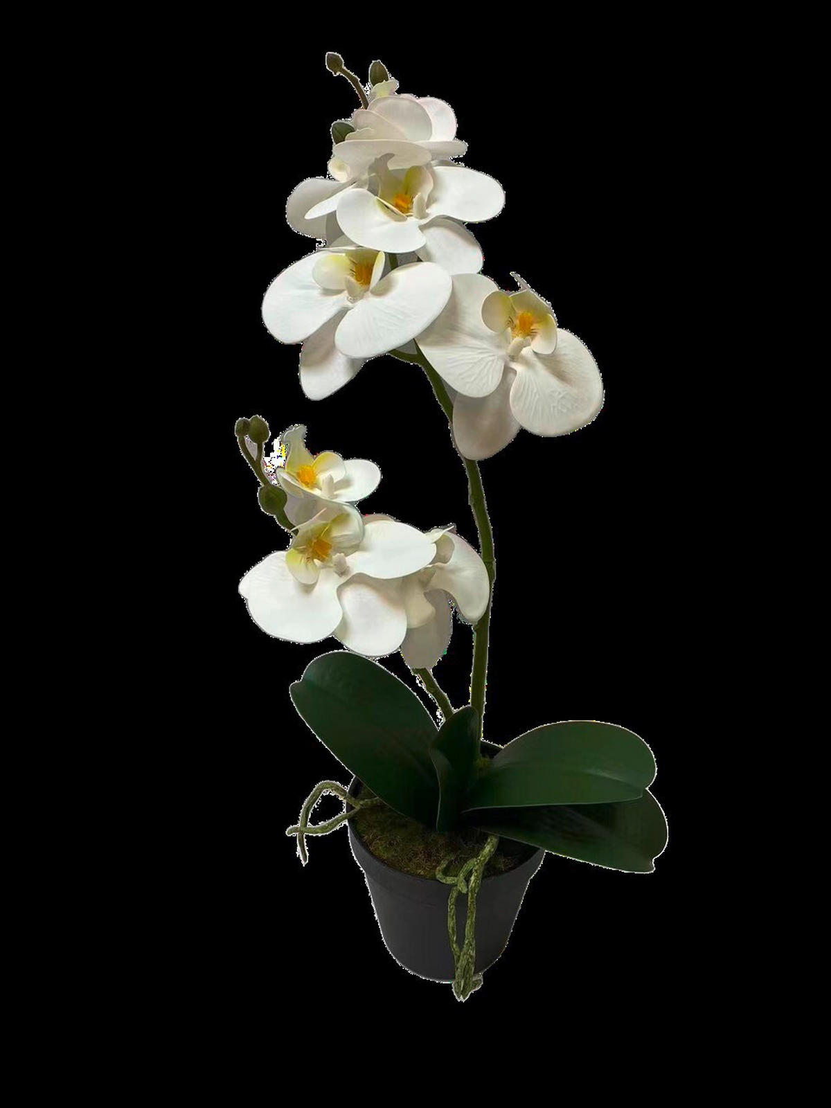 KUNSTBLUME  - Creme/Weiß, Basics, Kunststoff (55cm)