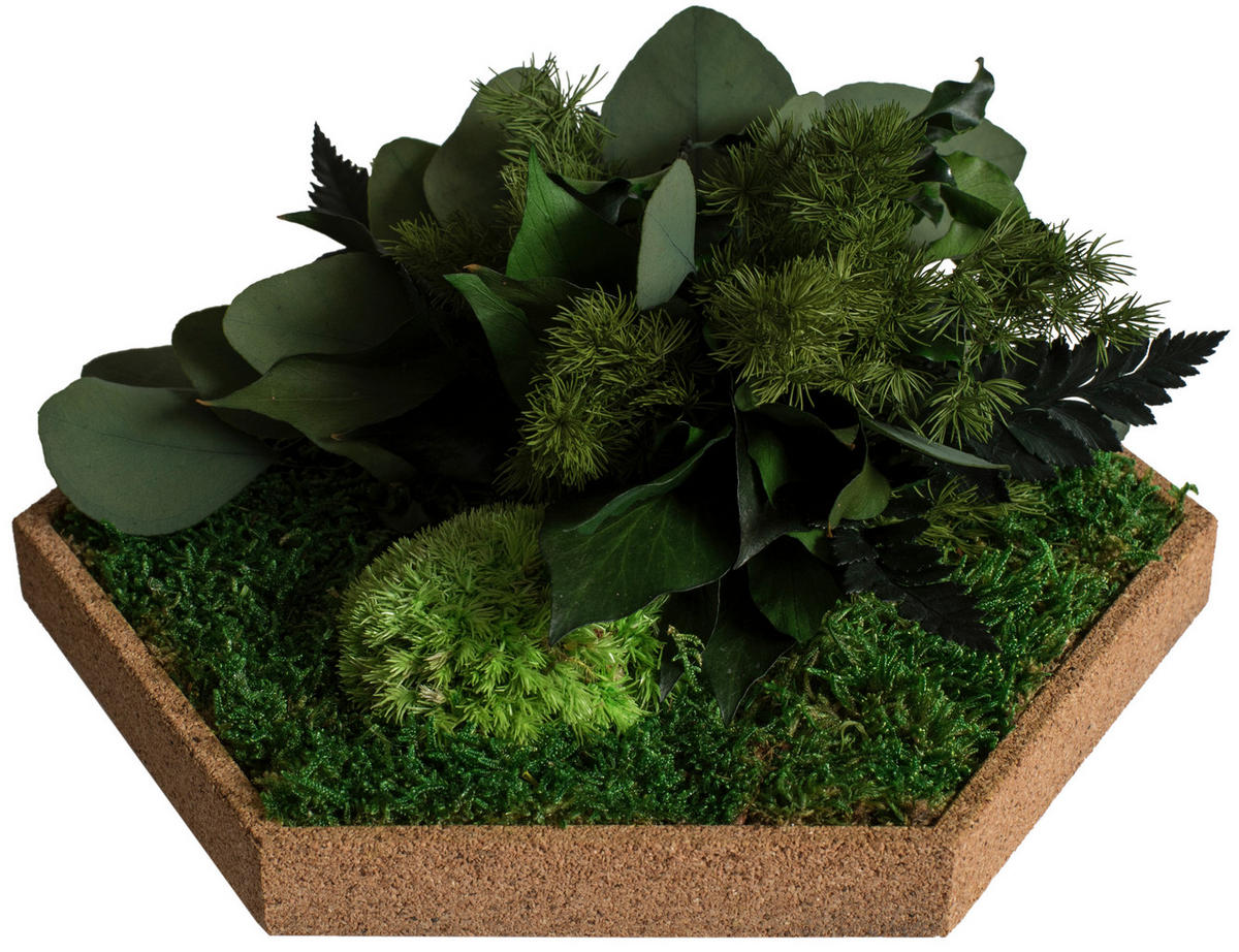 MOOSPANEEL Stylegreen  - Hellbraun/Grün, Basics, Naturmaterialien/Holz (19/22cm)