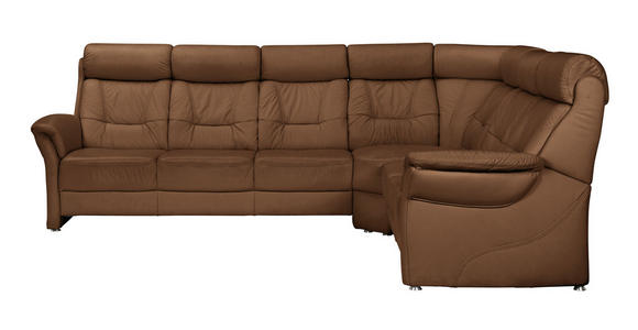 WOHNLANDSCHAFT in Leder Braun - Alufarben/Braun, KONVENTIONELL, Leder/Metall (298/245cm) - Cantus
