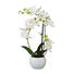 KUNSTBLUME Orchidee - Dunkelgrün/Weiß, Kunststoff (42cm) KUNSTBLUME Orchidee - Dunkelgrün/Weiß, Kunststoff (42cm)