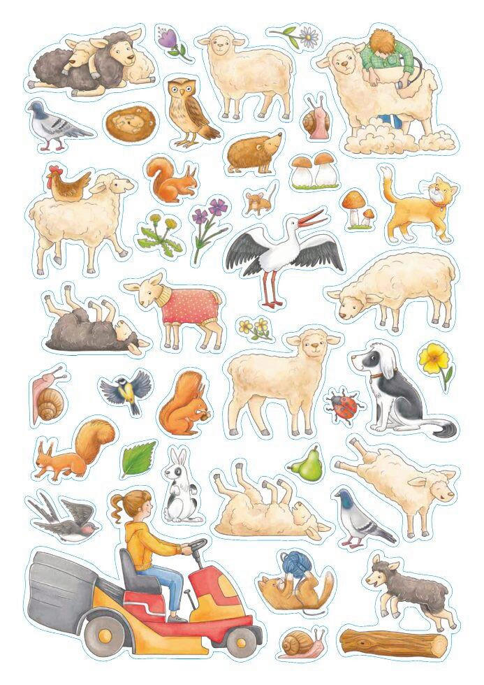 BUCH - Multicolor, Basics, Papier (30/21/1cm)
