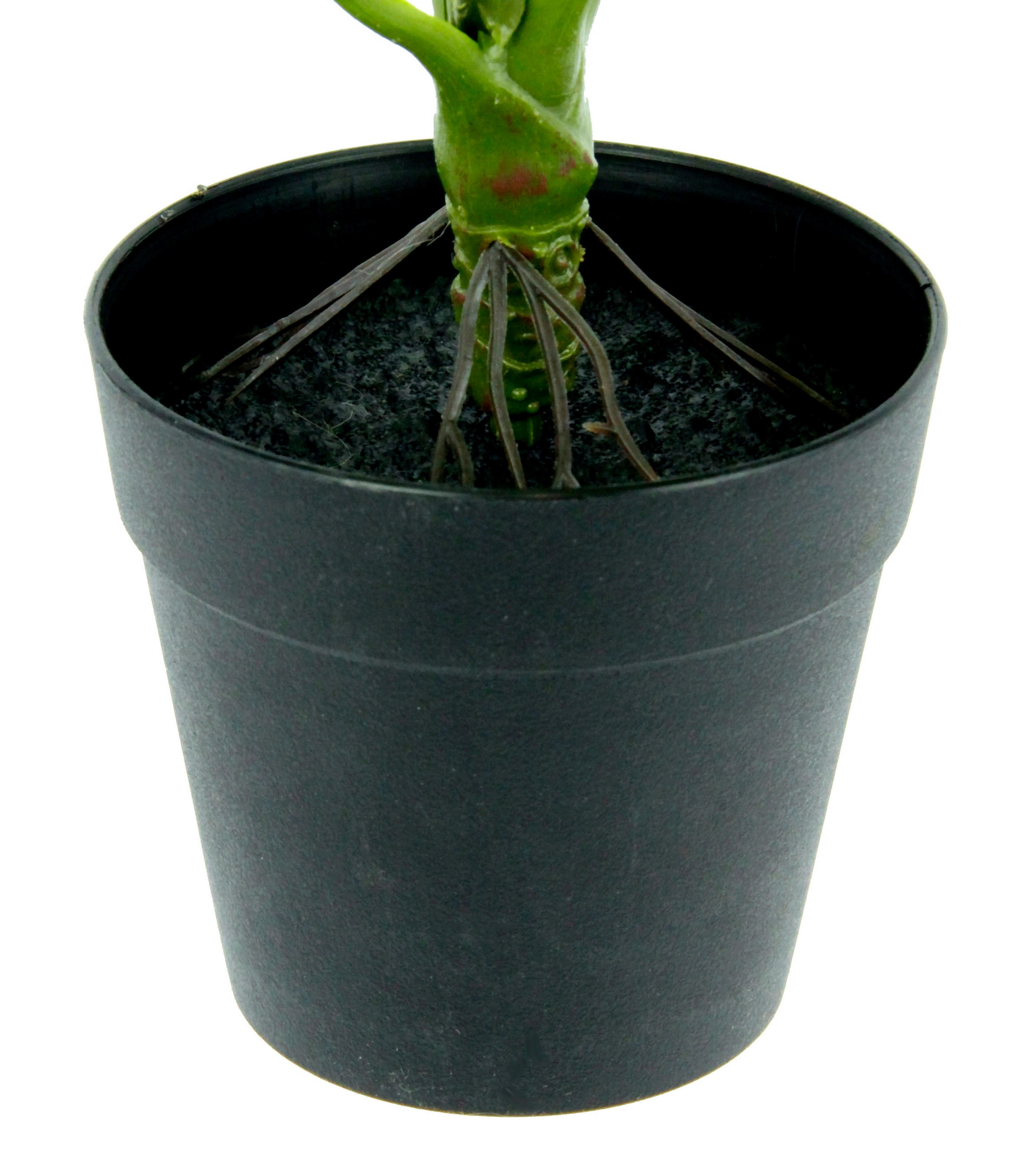 POTHOS  - Grün, Basics, Textil (22/25cm)