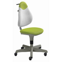 JUGENDDREHSTUHL Netzbespannung Buche Schichtholz Grün, Weiß  - Weiß/Grün, Basics, Holz/Kunststoff (63/86-102/53cm) - Paidi