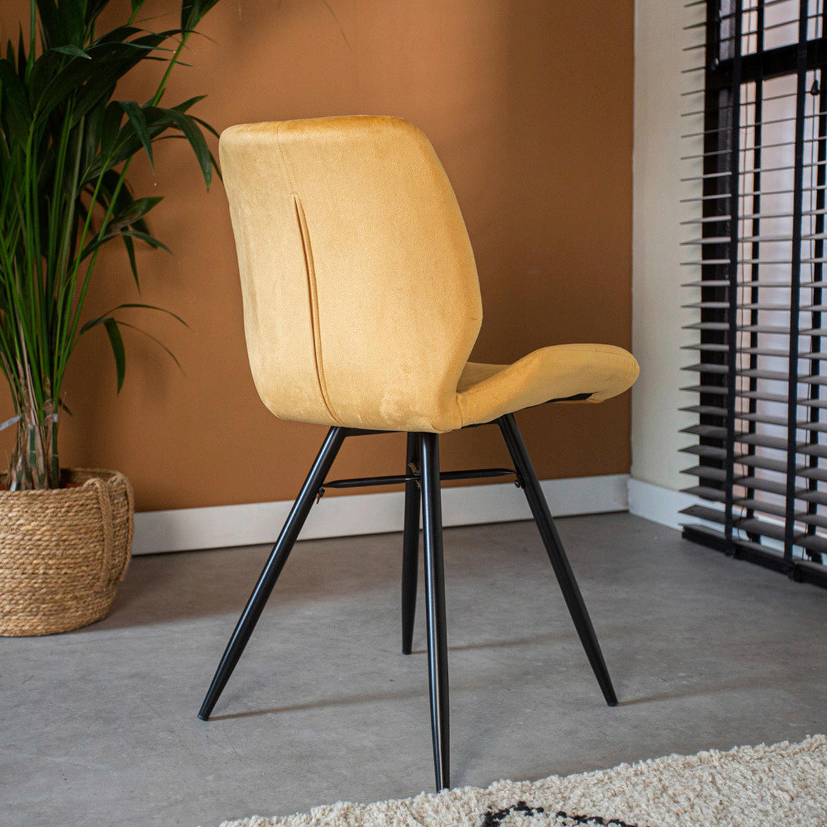 STUHL-SET 4 Stück  in Samt  - Gelb/Schwarz, Design, Textil/Metall (47/82/55cm) - MID.YOU