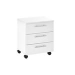 ROLLCONTAINER 40/56/39 cm  - Silberfarben/Weiß, MODERN, Holzwerkstoff/Kunststoff (40/56/39cm) - Carryhome