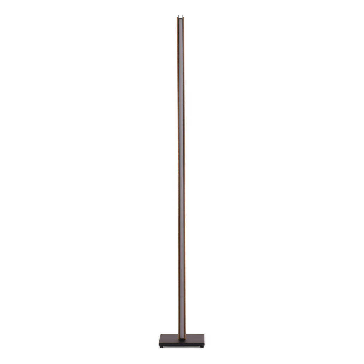 LED-STEHLEUCHTE Form 22/160/22 cm  - Eichefarben/Schwarz, Natur, Holz/Metall (22/160/22cm) - Grossmann