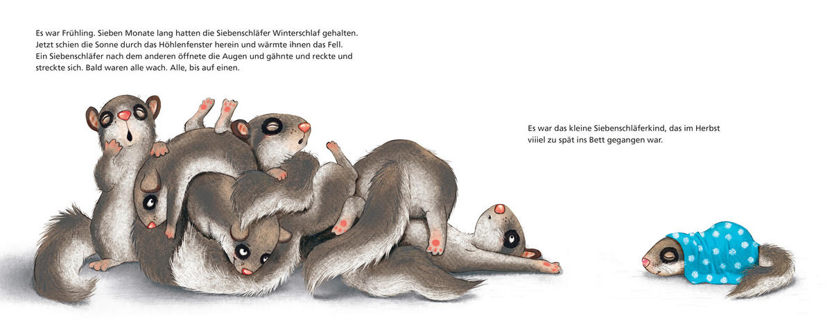 BILDERBUCH die Geschicht vom kleinen Siebenschläfer,...  - Basics (17/20,7/2,1cm)
