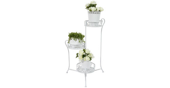 BLUMENSTÄNDER in Metall  - Weiß, Trend, Metall (23/64/23cm) - Ambia Home