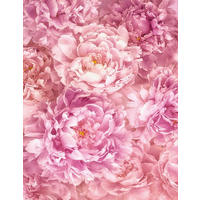 VLIESTAPETE  - Rosa, Basics (200/260cm) - Xora
