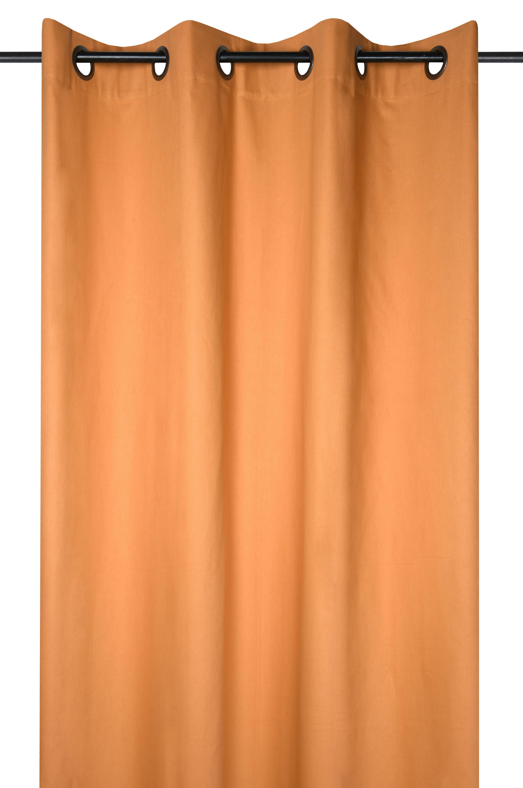 ZAVJESA S RINGOVIMA žuta 140/260 cm   - žuta, Basics, tekstil (140/260cm)